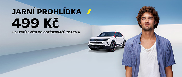 Opel servis