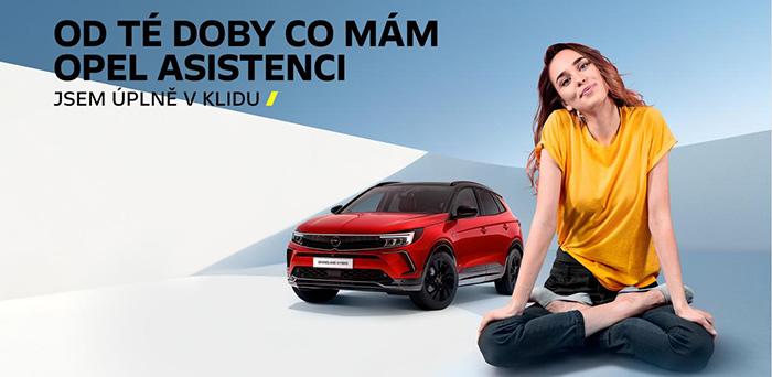 Roční asistence