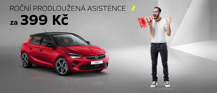 Roční prodloužená asistence