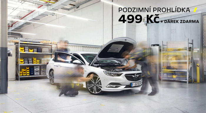 Opel servis