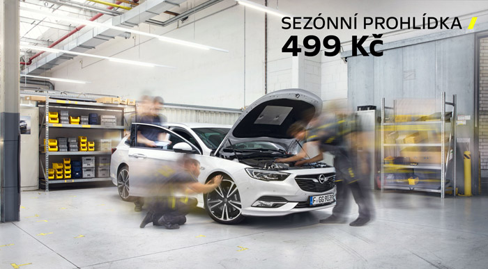 Opel servis