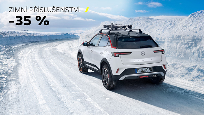 Opel servis